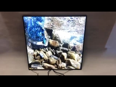 Merk Originele BOE 33 duim Vierkante LCD Comité 420Nits 1920*1920 Vierkante Reclamevertoning